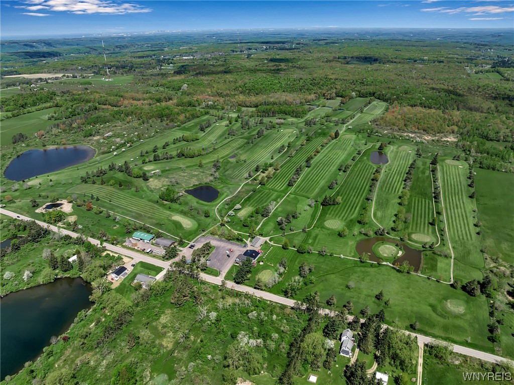 10438 Holland Glnwd, Colden, NY 14033