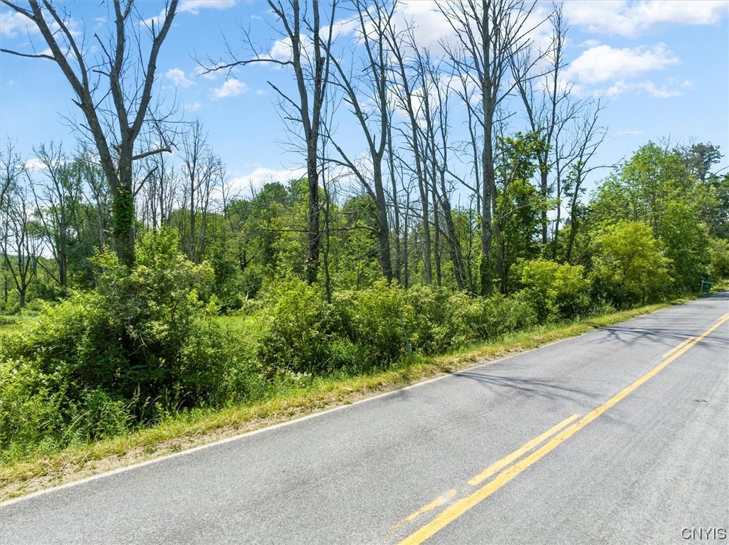 0 Blackman Corners Road, RomeInside, NY 13440