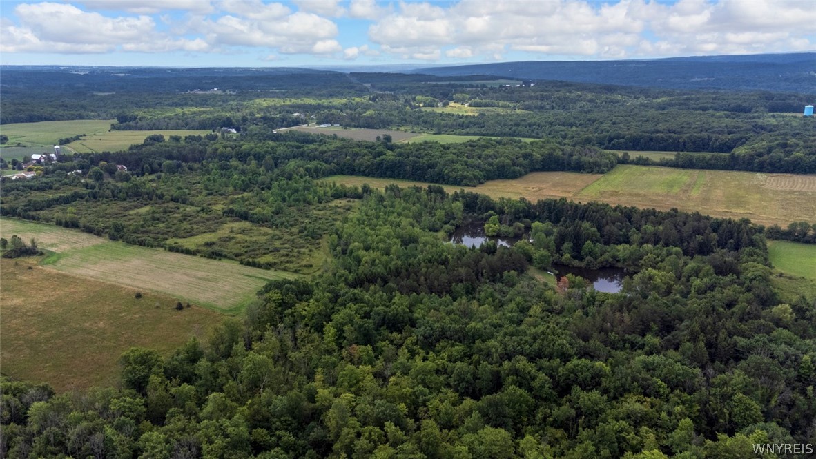 2950 Four Rod Road, Marilla, NY 14052