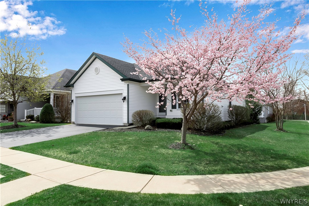 20 Hickory Grove Lane, Cheektowaga, NY 14227