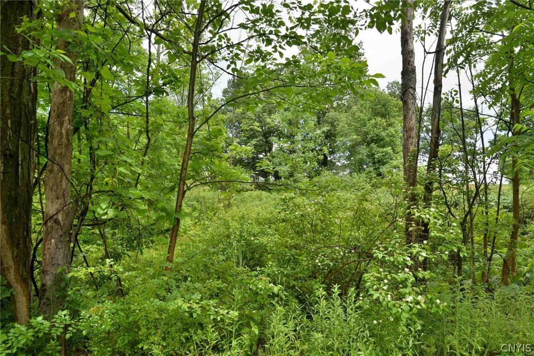 Sold 107 Newport Road, Schuyler, NY 13502 4 Beds / 2 Full Baths