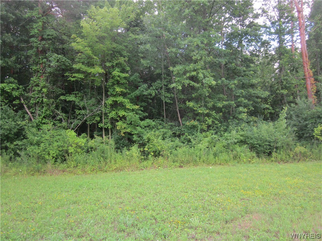 VL Lo River (Wolf Run) Road, Lewiston, NY 14092