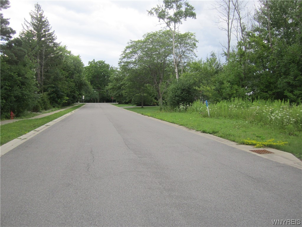 VL Lo River (Wolf Run) Road, Lewiston, NY 14092