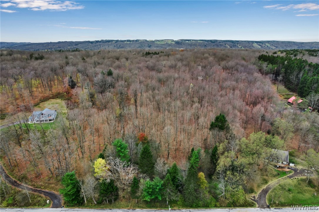 8176 Irish Road, Colden, NY 14033