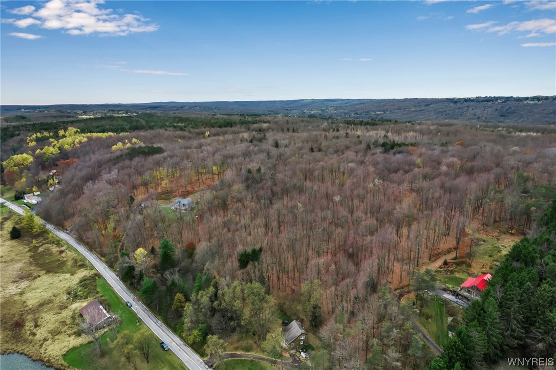 8176 Irish Road, Colden, NY 14033