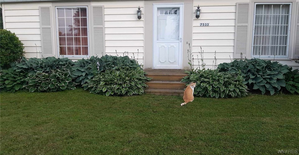 7533 Ellicott Road, Orchard Park, NY 14170