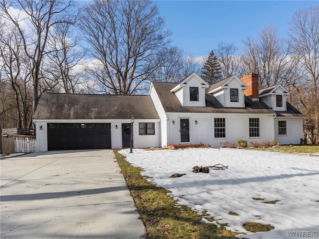 Orchard Park Housing Market Data