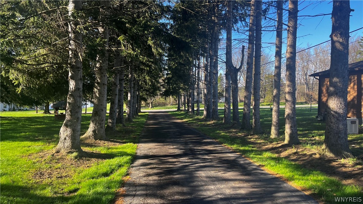 175 Schultz Road, West Seneca, NY 14224