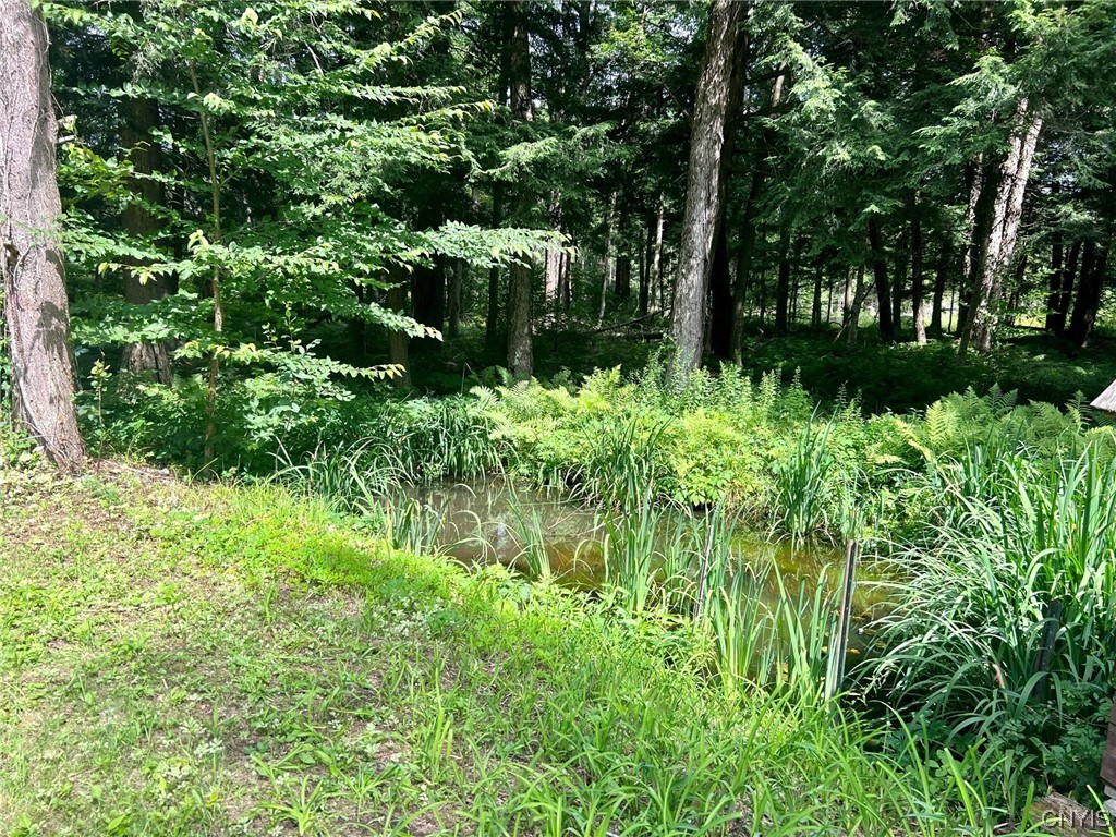 11449 Bellingertown Road, Forestport, NY 13338