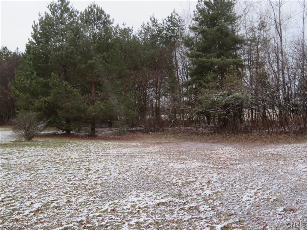 7537 Rickmeyer Road, 39, Floyd, NY 13440