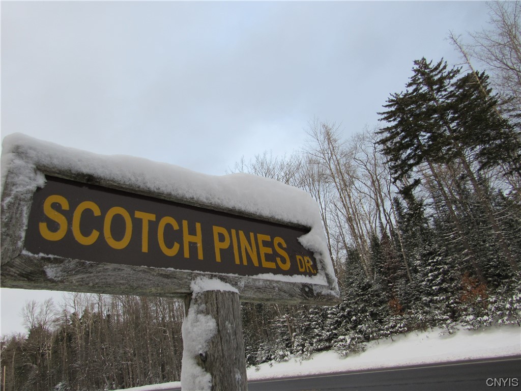 3414 Scotch Pines Drive, Forestport, NY 13494