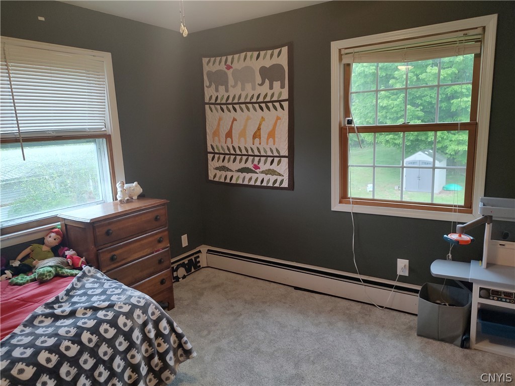 10243 Wolcott Hill Road, Camden, NY 13316