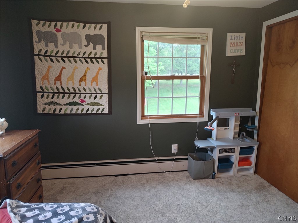 10243 Wolcott Hill Road, Camden, NY 13316