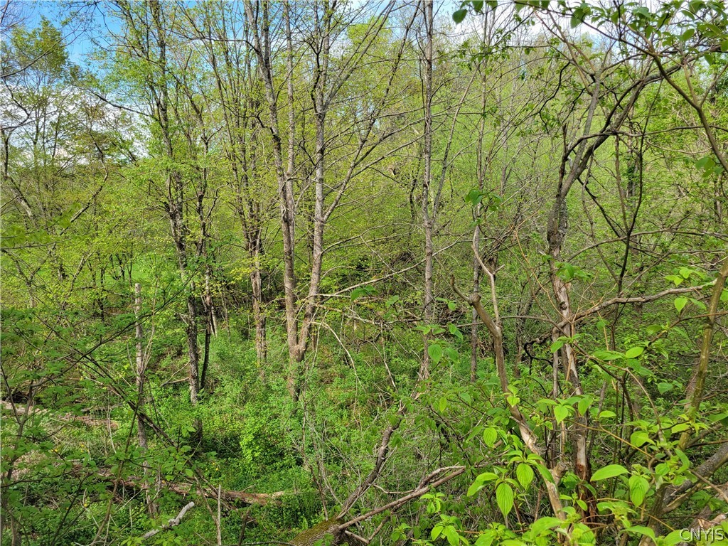 1988 Gorton Lake Road, Brookfield, NY 13485